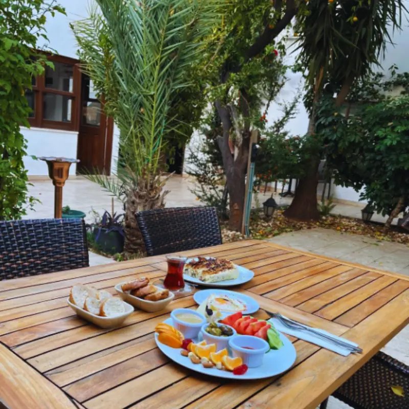 Bahçeden taze sebzeler ve yumurta